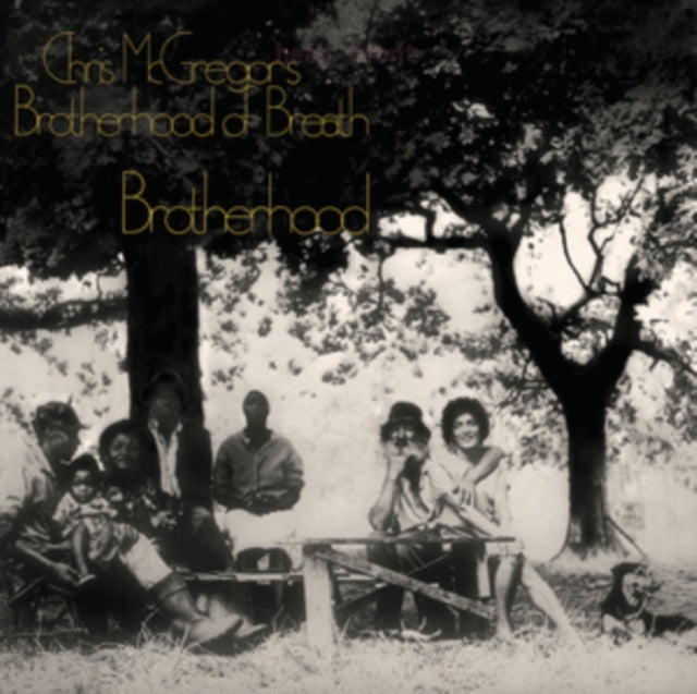Brotherhood (Coloured LP Vinyl)
