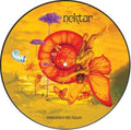 Remember The Future (Picture Disc) Vinyl Record
