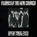 Open Your Eyes (Purple / White Vinyl/2LP)