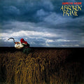 Broken Frame (180G/Gatefold)