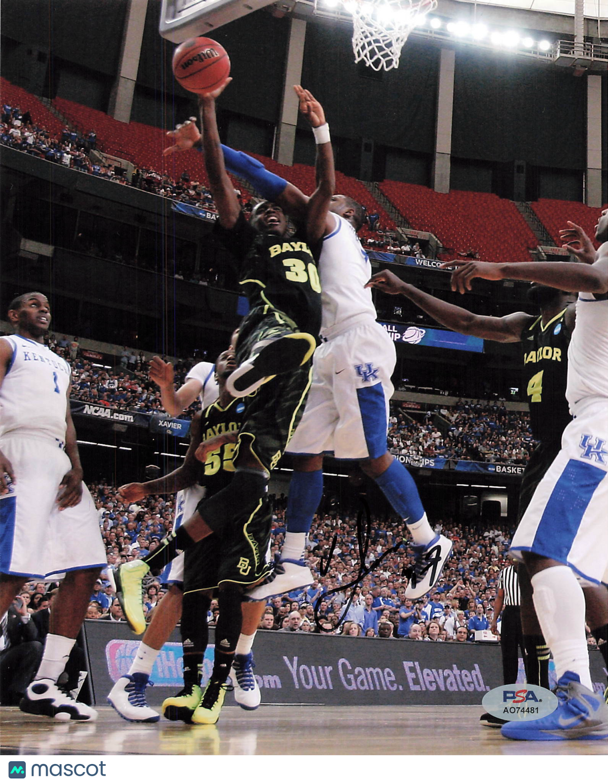 Quincy Miller Baylor Bears Signed Basketball 8x10 Photo PSA