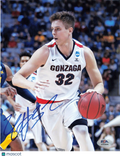 Zach Collins Gonzaga Bulldogs Signed Basketball 8x10 Photo PSA