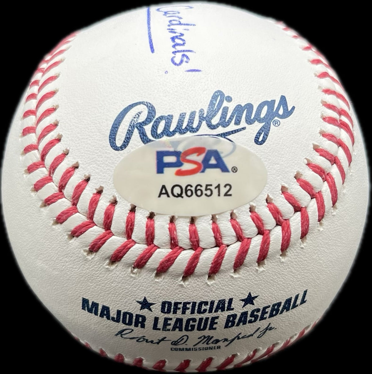 Andrew Knizner Signed MLB Baseball PSA St. Louis Cardinals