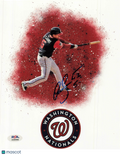 Adrian Sanchez Washington Nationals Signed 8x10 Photo PSA