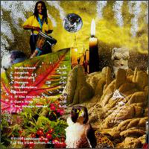 Hill,ubaka - Shapeshifters - Music CD