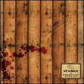 Starky - Is This How It Ends/hey Bang Bang - Vinyl Record