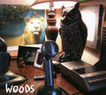 Woods - At Rear House - Music CD