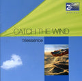 Allaway,mark / Tomalin,nick / Howles,dominic - Catch The Wind: Songs Of Bill Evans - Triessence - Music CD