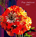 Pop Ambient 2007 / Various - Pop Ambient 2007 / Various - Vinyl Record