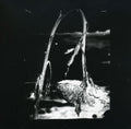 Pink Reason - Cleaning The Mirror - Music CD