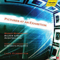 Mussorgsky / Zilberstein - Pictures At An Exhibition - Music CD
