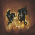 Besnard Lakes - Besnard Lakes Are The Dark Horse - Vinyl Record