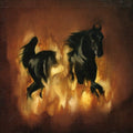 Besnard Lakes - Besnard Lakes Are The Dark Horse - Music CD
