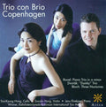Ravel / Dvorak / Bloch / Hong - Ravel / Dvorak / Bloch - Music CD