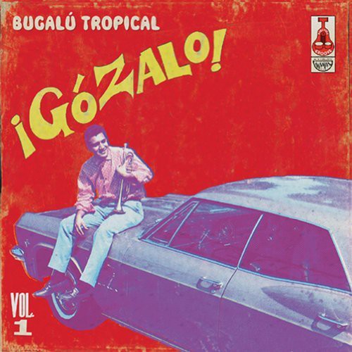 Gozalo: Bugalu Tropical 1 / Var - Gozalo: Bugalu Tropical 1 / Var - Vinyl Record