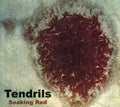 Tendrils - Soaking Red - Music CD