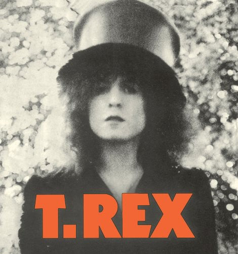 Bolan,marc / T.rex - Slider - Vinyl Record