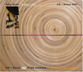 Scott,tony - Jazz Life - Music CD