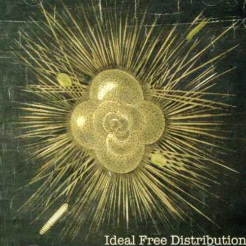 Ideal Free Distribution - Ideal Free Distribution - Music CD