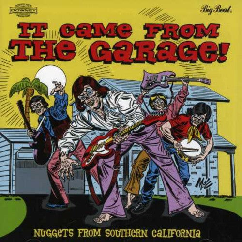 It Came From The Garage: Nuggets From / Various - It Came From The Garage: Nuggets From / Various - Music CD