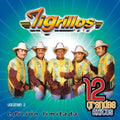 Tigrillos - 12 Grandes Exitos 2 - Music CD