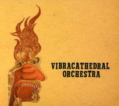 Vibracathedral Orchestra - Wisdom Thunderbolt - Music CD