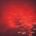 Toral,rafael - Violence Of Discovery & Calm Of Acceptance - Music CD
