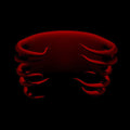 Undertow Vinyl Record