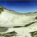 Institut Fuer Feinmotorik - Penetrans - Vinyl Record