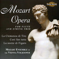 Mozart / Mozart Ensemble Of The Vienna Volksoper - Opera For Flute & Steing Trio - Music CD
