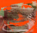 Deerhunter - Fluorescent Grey Ep - Music CD