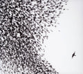 Wilco - Sky Blue Sky - Music CD