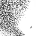 Wilco - Sky Blue Sky [LP]