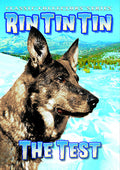 Rin Tin Tin: The Test - Rin Tin Tin: The Test - DVD