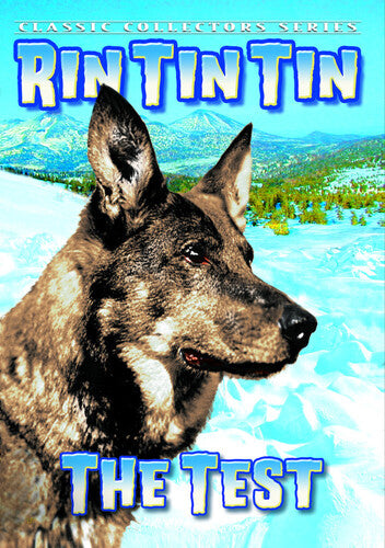 Rin Tin Tin: The Test - Rin Tin Tin: The Test - DVD