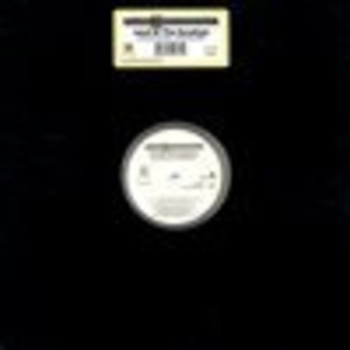 Chico & Coolwadda - Land Of The Sunshine - Vinyl Record