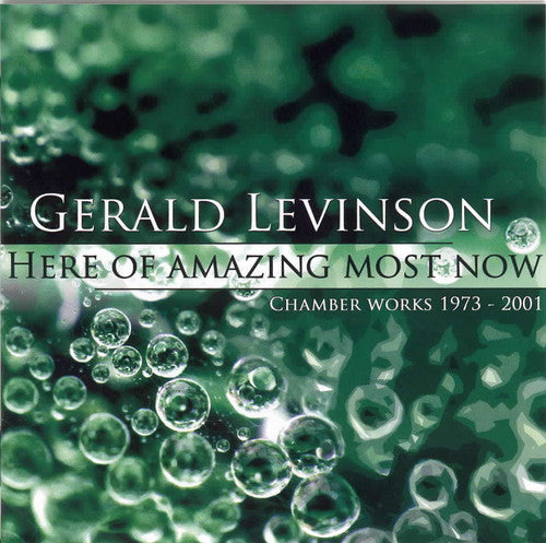 Levinson / Orchestra 2001 / Freeman - Here Amazing Most Now - Music CD