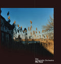 Cinematic Orchestra - Ma Fleur - Music CD