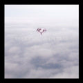 Minus Story - My Ion Truss - Vinyl Record