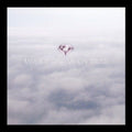 My Ion Truss [LP] Vinyl Record