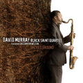 Murray,david - Sacred Ground - Music CD