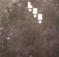 Lsb - Fog - Vinyl Record