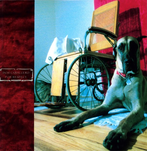 Don Caballero - For Respect - Vinyl Record