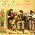 Traditional Music of Ireland Music CD