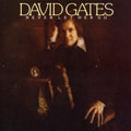 Gates,david - Never Let Her Go - Music CD