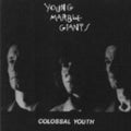 Young Marble Giants - Colossal Youth & Collected Works - Vinyl Record