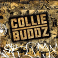 Collie Buddz Music CD