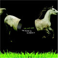 Jazz June - Scars To Prove It - Music CD