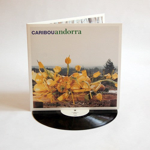 Andorra [LP] Vinyl Record