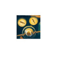 Fahrenheit - Chain Reaction - Music CD